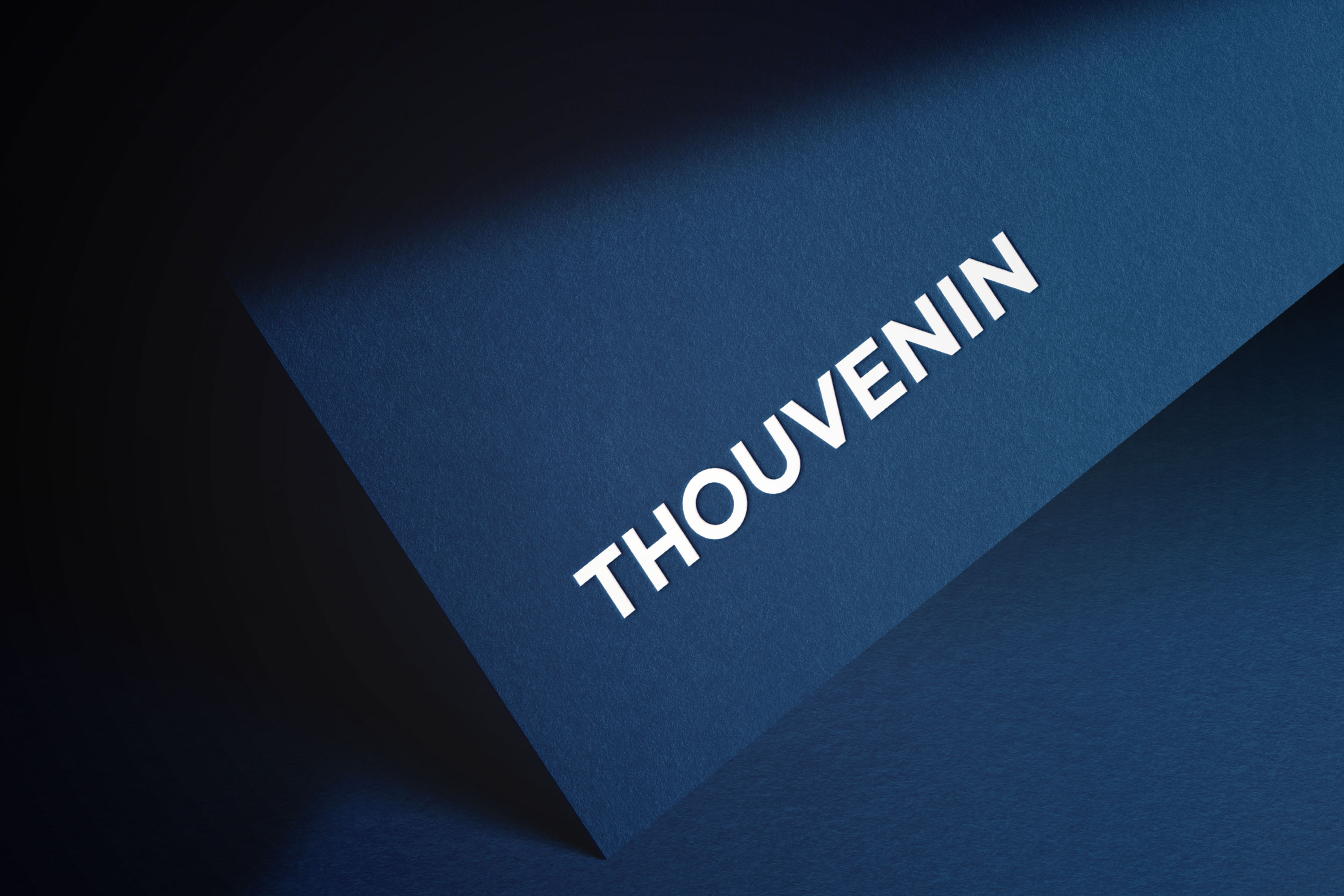 Thouvenin lawyers logo