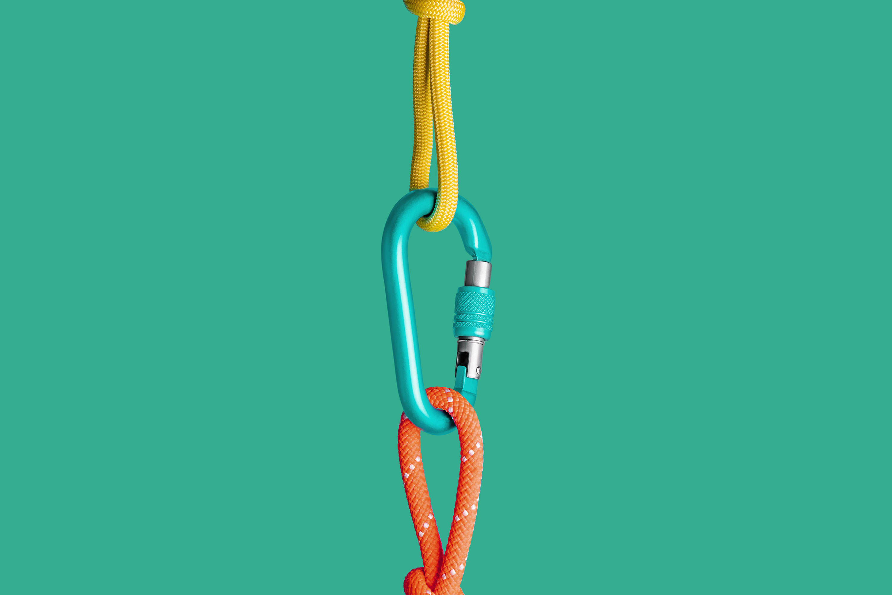 ETH Zurich, Department of Computer Science, Image Concept, Carabiner